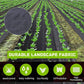 🔥Hot Sale（💥50%OFF）🔥Biodegradable Weed Barrier Fabric