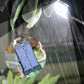 🍃Hot Sale 49% OFF🌟 Installation-free Solar Clip-Lamp