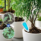 🔥Buy 5 Get 5 FREE💥Multi-Plant Liquid Reviver