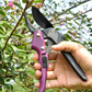 🔥Hot Sale（💥50%OFF）🔥Professional Bypass Pruning Shears for Gardening