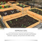 Effective Mild Liquid Fertilizer