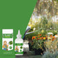 Effective Mild Liquid Fertilizer
