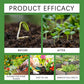 Effective Mild Liquid Fertilizer