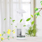 🔥Hot Sale🔥Mildew Removal Spray for Walls