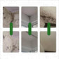 🔥Hot Sale🔥Mildew Removal Spray for Walls