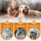 🔥HOT SALE 🔥Pet Odor Eliminator Disinfectant Spray