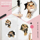 🔥Hot Sale 50% OFF🔥3D D tachable Wall Stickers of Cats