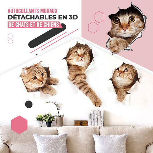 🔥Hot Sale 50% OFF🔥3D D tachable Wall Stickers of Cats