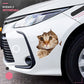 🔥Hot Sale 50% OFF🔥3D D tachable Wall Stickers of Cats