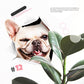 🔥Hot Sale 50% OFF🔥3D D tachable Wall Stickers of Cats