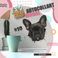 🔥Hot Sale 50% OFF🔥3D D tachable Wall Stickers of Cats