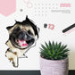 🔥Hot Sale 50% OFF🔥3D D tachable Wall Stickers of Cats