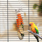 🔥HOT SALE 🔥Stainless Steel  Hanging Feeder for Birds