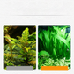 🎅 Hot Sale 49% OFF 🔥Flourish Aquarium Plant Fertilizer