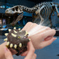 Dinosaur Flip Projector Watch for Kids