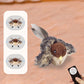 Fun Simulation Bird-Style Cat Toy with Intelligent Touch Sensor Sound